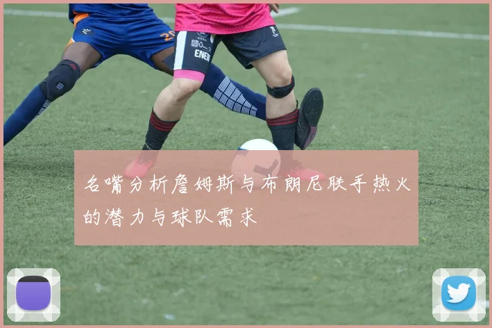 名嘴分析詹姆斯与布朗尼联手热火的潜力与球队需求